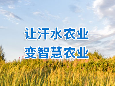 智慧农业解决方案-智慧农业方案-智慧农业项目