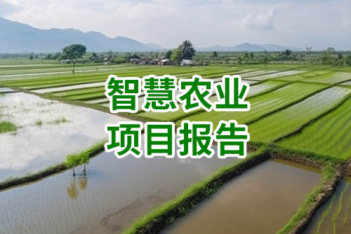 智慧农业项目报告